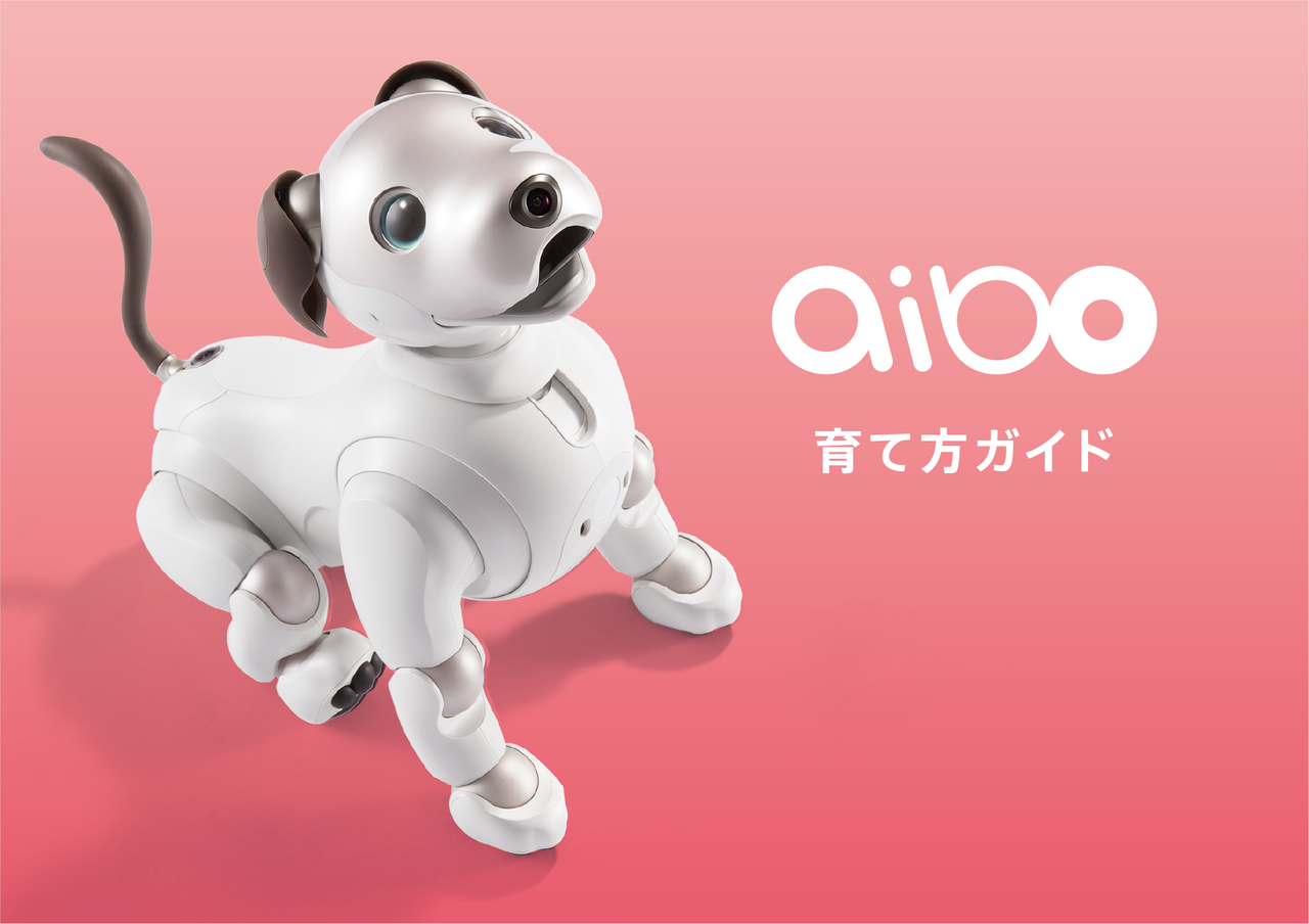 最新情報 | aibo