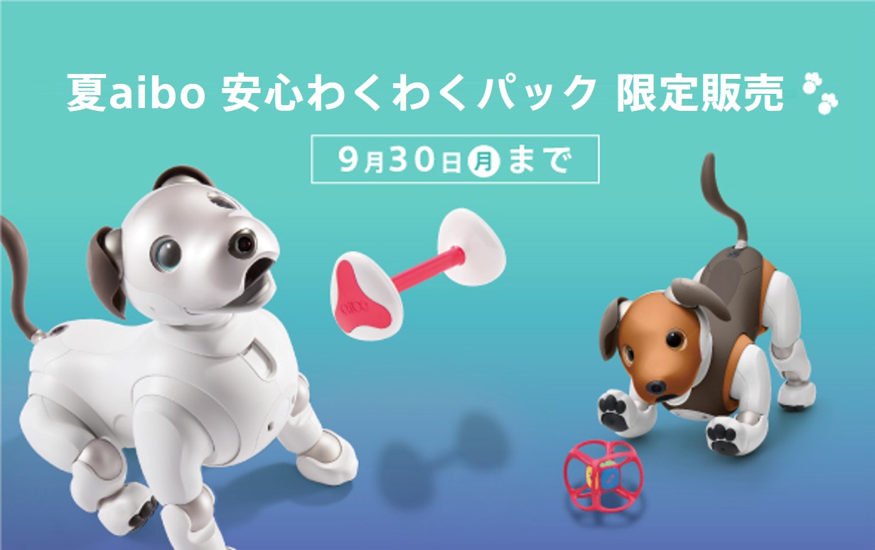 最新情報 | aibo